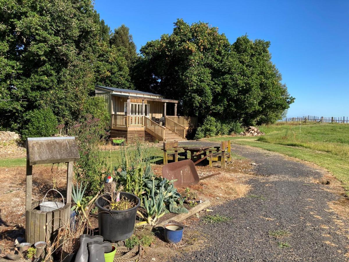 The Treehut Villa Ohauiti Ngoại thất bức ảnh